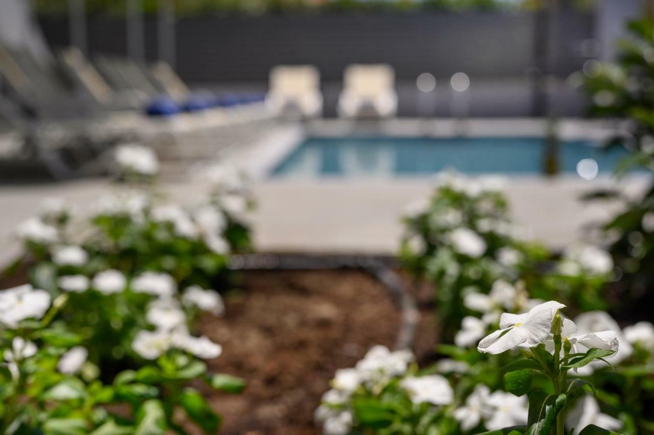 פלטניאס Athina Suites Luxury Suites Near The Sea Platanias מראה חיצוני תמונה